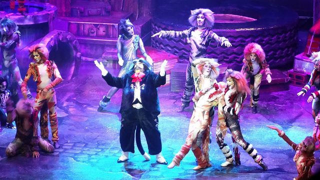 Cats, by T. S. Eliot and Sir Andrew Lloyd Webber, the most successful musical in history. Broadway Rose Theater, 2013. Photo copyright Ana Rosa Lopez.