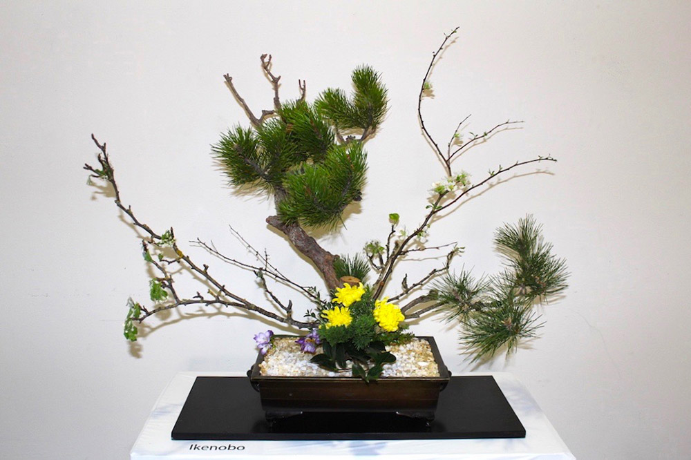 Ikebana by the Ikenobo School, Los Angeles. Image courtesy of the Japanese American Community and Cultural Center, Los Angeles