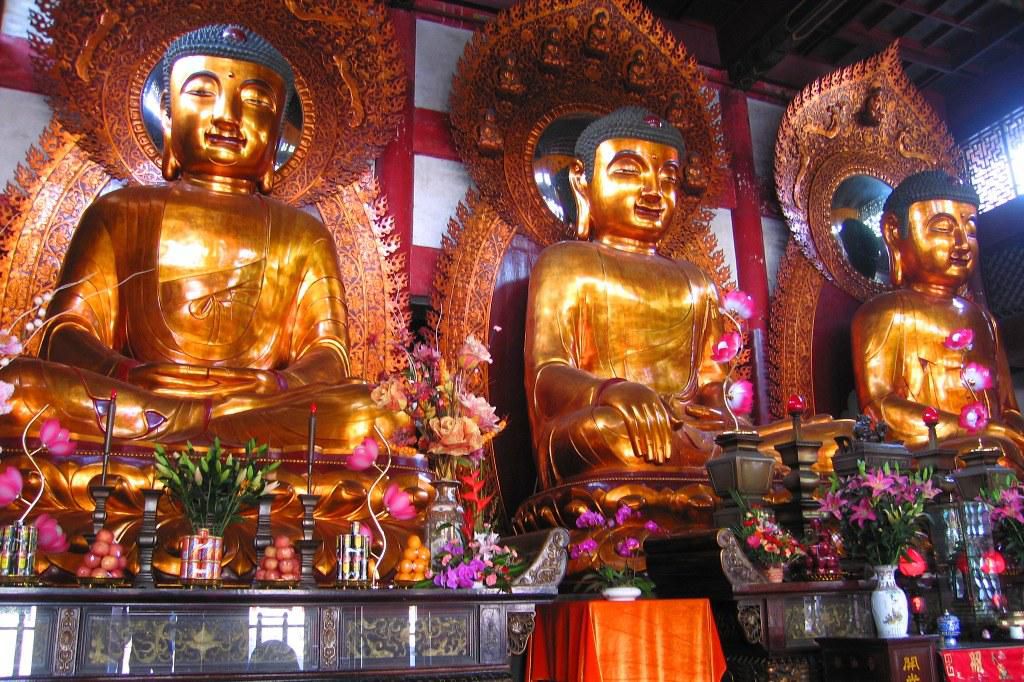 圖:網上圖片 圖:網上圖片