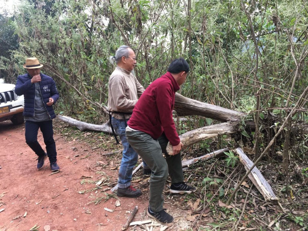 2018葉榮枝到訪老撾扶貧，調查普洱老茶樹資源，幫忙開路（圖：由葉榮枝提供）。